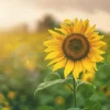 blog-4